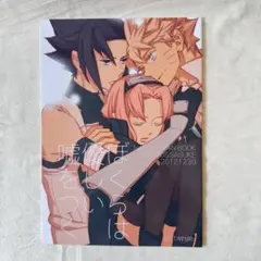 【美品】同人誌　NARUTO 『ぼくらは優しい嘘をつく』