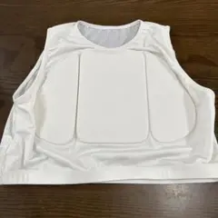 リアルチャンピオンシップ 胸サポーター