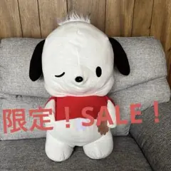 特大BIGタイプ ポチャッコぬいぐるみ