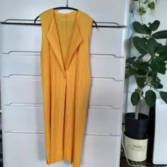 タグ付き未使用品綺麗色ロングジレサイズ3
