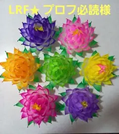 蓮の花の紙103 9色　10個