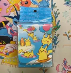 ポケモンカードゲーム デッキケース なみのりピカチュウ & そらをとぶピカチュウ