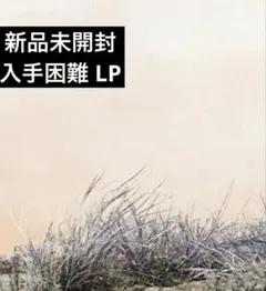 2025年最新】廃盤 アートスクールの人気アイテム - メルカリ