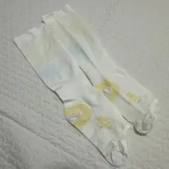 Item thumbnail for item a1e882cb-a7b4-4a44-a22c-095d0e47d8d2