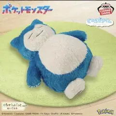 本日のみ！