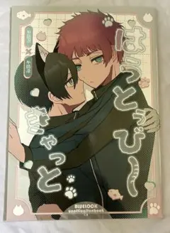 ブルーロック 同人誌 冴凛