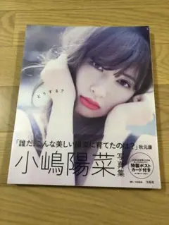 小嶋陽菜　写真集　どうする　未開封
