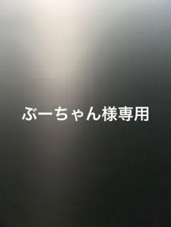 【専用出品】