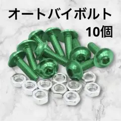 10個 オートバイボルト ネジ径6mm 寸法25×15mm ねじ長さ20mm