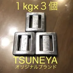 新品 1kg×3個セット ダイビング用ウエイト スキューバおもりTSUNEYA