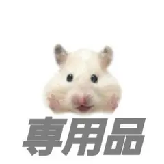専用品