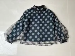 ドット　シアー　トップス　襟　バルーン袖