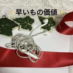 ホワイト イヤフォン 有線