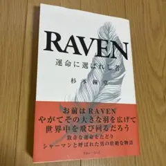 RAVEN 運命に選ばれし者
