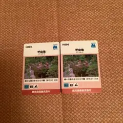 名水百選カード 鹿児島県鹿児島市 甲突池 2枚
