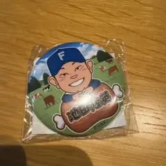 (即購入OK)池田隆英　缶バッジ
