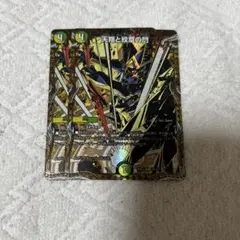 デュエルマスターズ　エターナル・ホライゾン　シークレット２枚