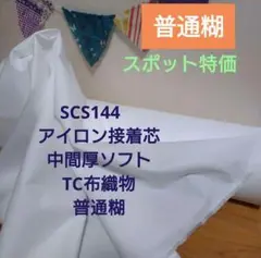 Item thumbnail for item 2ef07ff2-3425-4bba-9095-22a9b2b14ea8