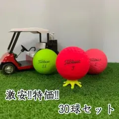 228・ロストボール タイトリスト マットカラー混合 30球 B