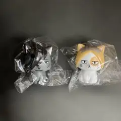 ハイキュー アニマルミニソフビ クロオネコ ケンマネコ 黒尾 研磨