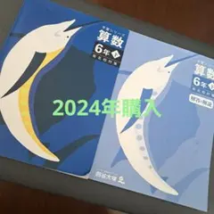 予習シリーズ　算数　6年下　2024年購入