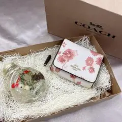 コーチ 三つ折財布 ピンク アイボリー 花柄 ハーバリウム★960