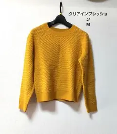 クリアインプレッション　セーター