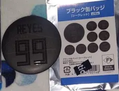 ♥️北海道日本ハムファイターズ　ブラック缶バッジ　99レイエス♥️