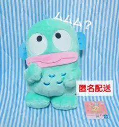 ⑨ハンギョドン　ムムム？BIGぬいぐるみ　サンリオキャラクターズ