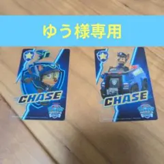 パウパトカード　チェイス２枚