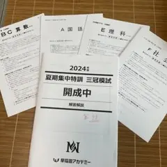 2024年度夏期集中特訓三冠模試　開成中