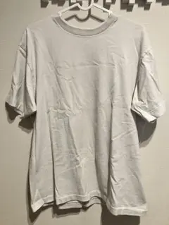 Hanes SHIRO Tシャツ Lサイズ