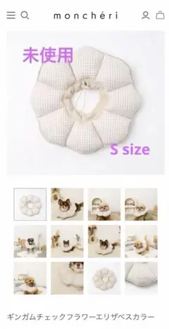 Item thumbnail for item a7bcc0c6-b7b4-48e2-9127-c239313a89c8