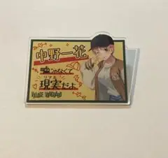 【五等分の花嫁】ヴィレッジヴァンガード 中野一花