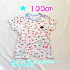 8/12まで ★ スイミー 100㎝