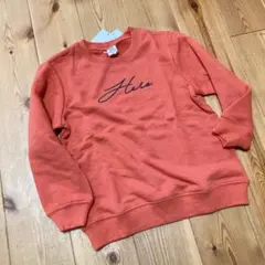 Item thumbnail for item 231ef4de-fab2-4ada-a915-b7fe10e87eae