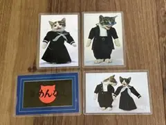 ラミネートカード なめんなよ なめ猫 ４点セット　当時品