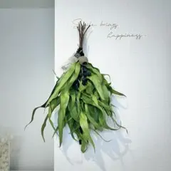 green swag/レモンユーカリとベルガムナッツの大人スワッグ/41cm