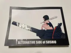 2025年最新】alternative side of sushioの人気アイテム - メルカリ