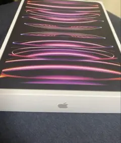 【極美品】iPad pro 11inch 4世代 シルバー