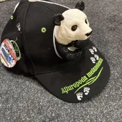 パンダ グィーンと飛び出す3Dキャップ