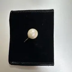 Item thumbnail for item e8510f0b-1ad8-4090-8f57-1cb9df7a5c49