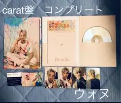 SEVENTEEN ウォヌ　carat盤　Face the Sun コンプ