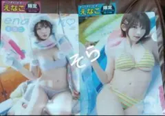 新品　えなこ　クリアファイル　ローソンHMV限定　2枚 　ヤングチャンピオン