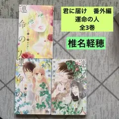 君に届け 番外編～運命の人～ 全3巻 椎名軽穂