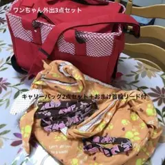 【ほぼ未使用品】わんちゃん外出用2点セット+おまけリードセット付キャリーu0026だっこ