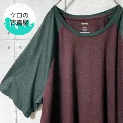 SONOMA ラグラン バイカラー メンズ Tシャツ 3XLT US古着