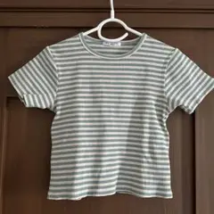 BEAUTY&YOUTH コットンブレンド マルチボーダー コンパクトTシャツ