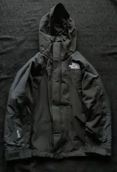 NORTH FACE マウンテンジャケット SUMMIT NP15900 新品同様THE NORTH FACE SUMMIT SERIES NP15900