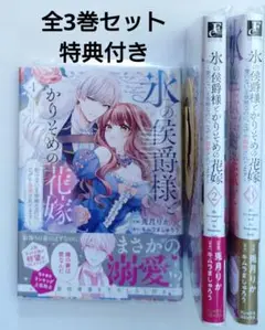 氷の侯爵様とかりそめの花嫁 全3巻セット 初版 アニメイト特典付き